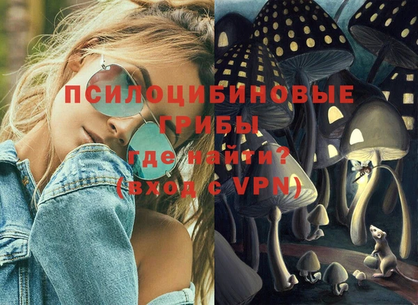 СК Михайлов